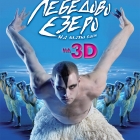 „Лебедово езеро“ на Матю Борн - REALD 3D в Кино „Арена“