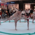 Sumo demonstrations in Mall Varna