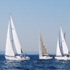 Sailing regatta 