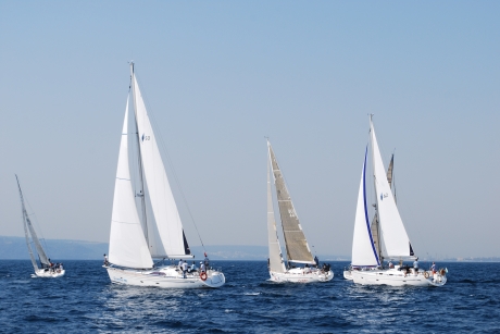 Sailing regatta 